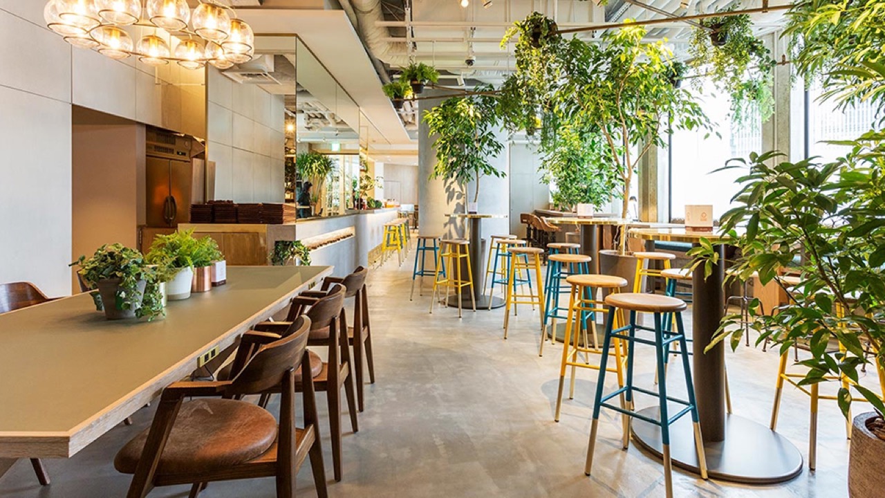 PARK6 Powered by bondolfi boncaffeの店内ダイニング。ハイテーブルとバースツール、木製チェア、観葉植物、ペンダント照明が並ぶ明るいカフェ空間の内観