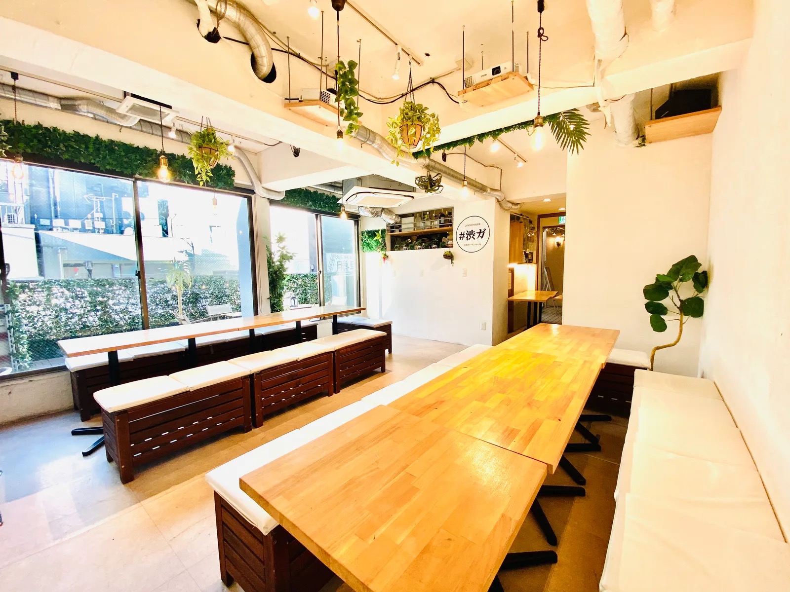渋谷ガーデンルーム（4F）緑と自然光の明るい店内・木テーブルとベンチ席（#渋ガ）
